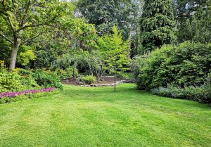 Optimiser l'expérience du jardin à Romilly-sur-Andelle